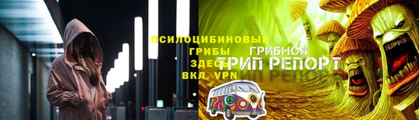 прущие грибы Алексин