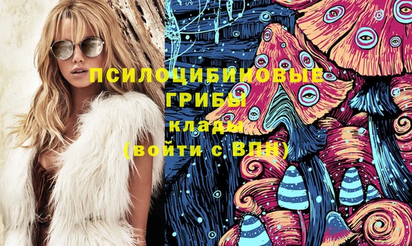 прущие грибы Алексин