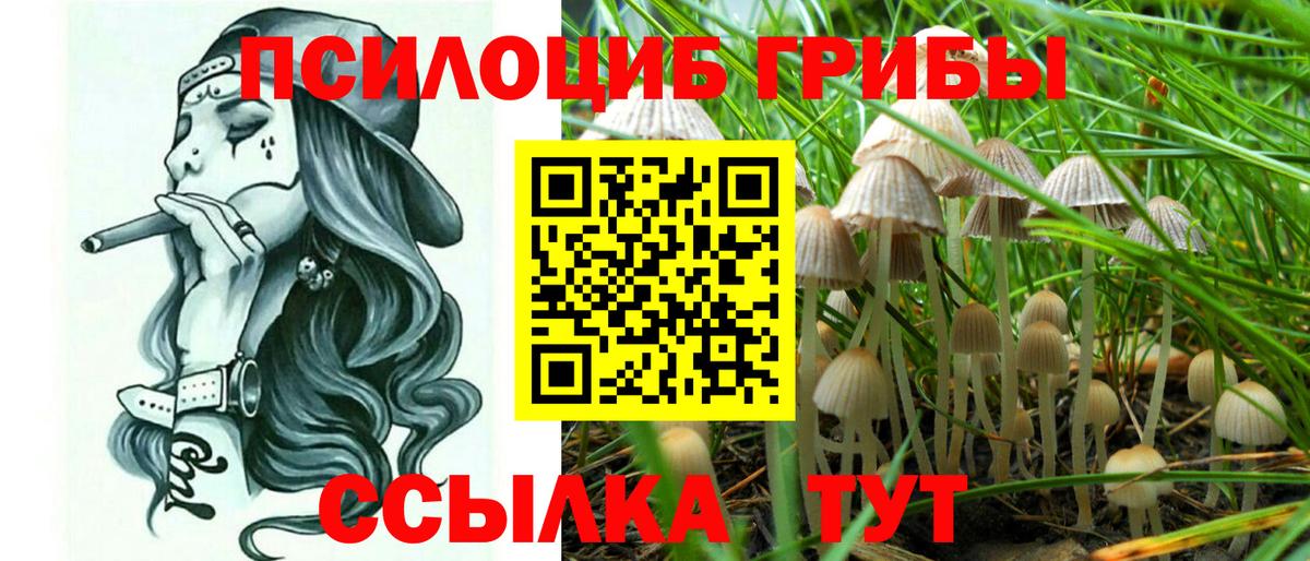 Псилоцибиновые грибы ЛСД  Псилоцибиновые грибы MAGIC MUSHROOMS  Кыштым  Вход с VPN 
